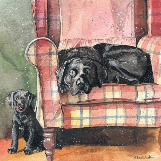 Přání v obálce Sophie and Scarlet, Pejsci od Alex Clark 14*14 cm
