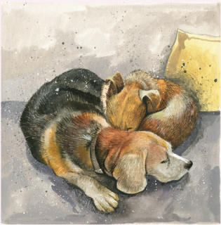 Přání v obálce Jazz and Honey, Pejsci od Alex Clark 14*14 cm