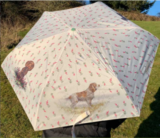 Deštník Dogs, pejsci od Alex Clark