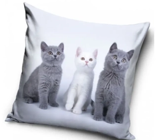 Velurový povlak na polštář Tři koťata, 40x40cm