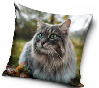 Povlak na polštář Sibiřská kočka, 40x40cm