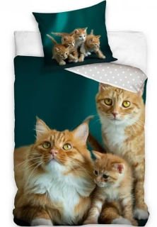 Bavlněné povlečení 3D  Kočky Zrzky