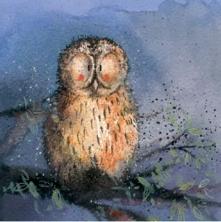Přání v obálce Night owl, sova od ALEX CLARK 14*14 cm