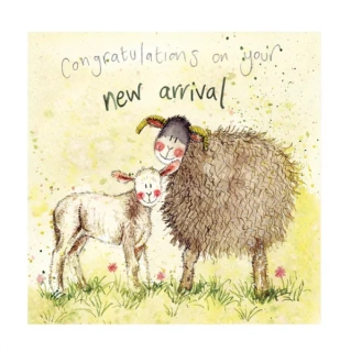 Přání v obálce Lamb, ovečka od ALEX CLARK 14*14 cm