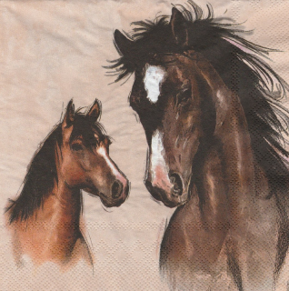 Ubrousky Koně, 33 x 33 cm