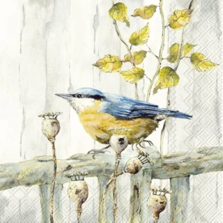 Ubrousky Sýkorka na plotě, 33 x 33 cm