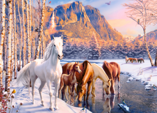 Puzzle CASTORLAND Koně v zimě 180 dílků