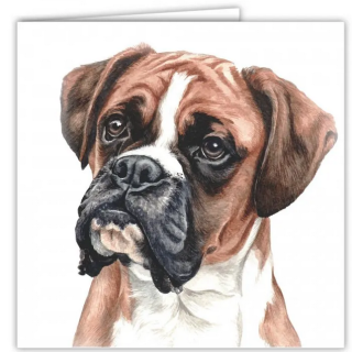 Přání v obálce Boxer, WD 16,5 x 16,5 cm