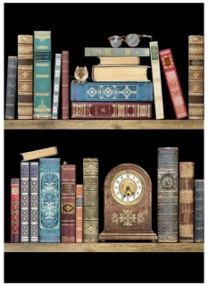 Luxusní přání BUG ART Myška v knihovně