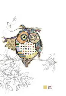 Luxusní přání BUG ART Sovík