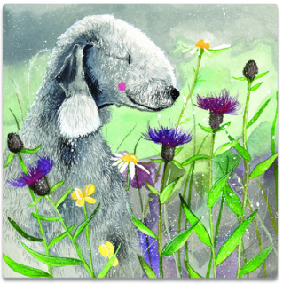 Magnetka Alex Clark Pejsci - Bedlington