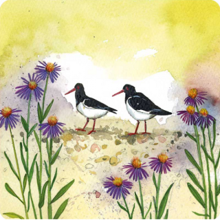 Podložka, podtácek Oystercatchers, Alex Clark