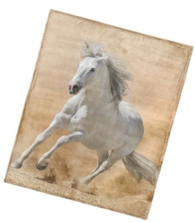 Deka mikroplyšová Bílý Kůň 130*160 cm