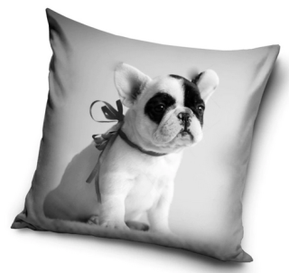 Povlak na polštář pejsek Francouzský Buldoček, 40x40 cm