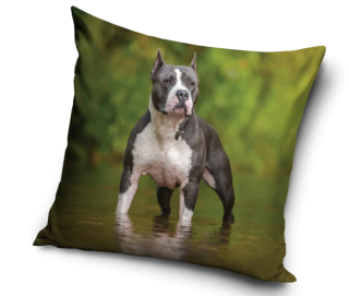 Povlak na polštář Americký Stafordširský Teriér I., 40x40 cm