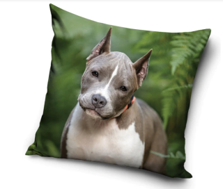 Povlak na polštář Americký Stafordširský Teriér II., 40x40 cm