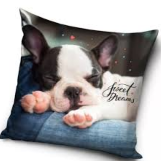 Povlak na polštář pejsek Francouzský Buldoček, 40x40 cm