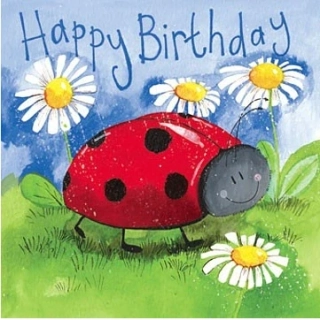 Přání v obálce Little ladybird, beruška od ALEX CLARK 14*14 cm