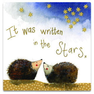 Magnetka Alex Clark Stargazers Hedgehog
