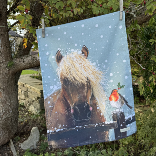 Kuchyňská vánoční utěrka Horse and Robin, Alex Clark