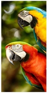 Osuška Papoušci ARA, 70x140 cm